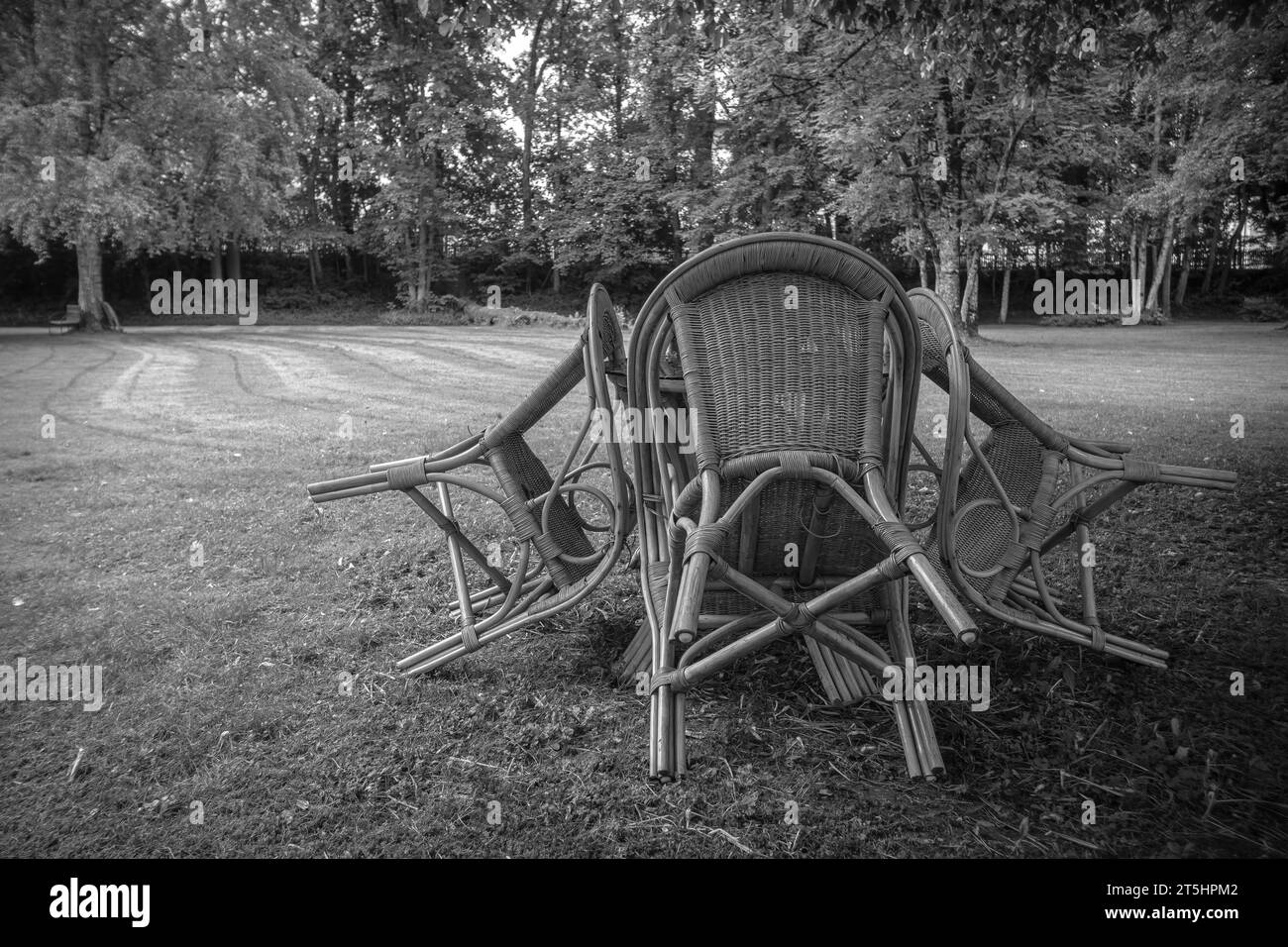 Four chairs are grouped around a table under a tree in a park, St. George's Abbey, Isny im Allgäu, Baden-Württemberg, Germany. Stock Photo