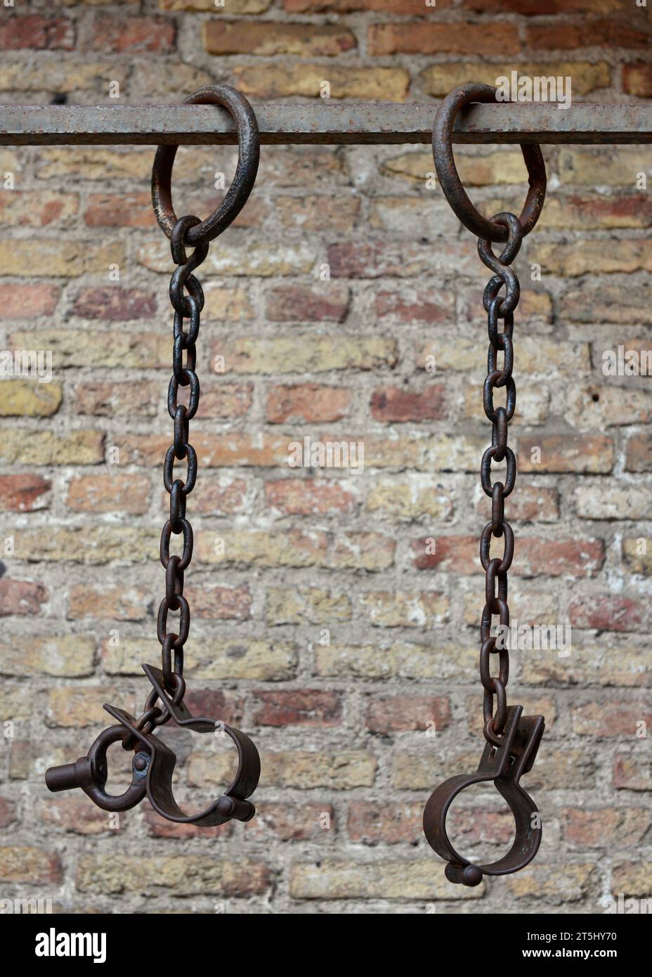 Pair of medieval wrist shackles or ancient iron handcuffs with chains at the Foregate Complex Museum or Zespół Przedbramia in Gdansk, Poland Stock Photo