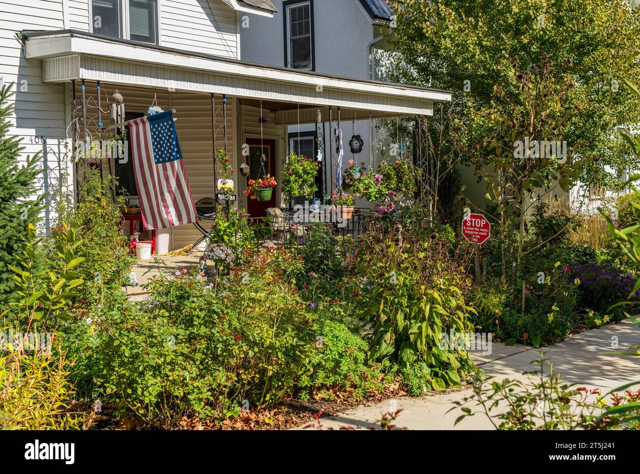 Overflowing rose garden on W Broadway Street in Decorah Iowa Stock ...