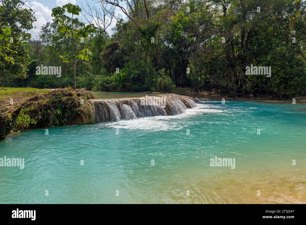 Agua Azul cascades and waterfalls with tropical rainforest, Chiapas, Mexico. Stock Photo
