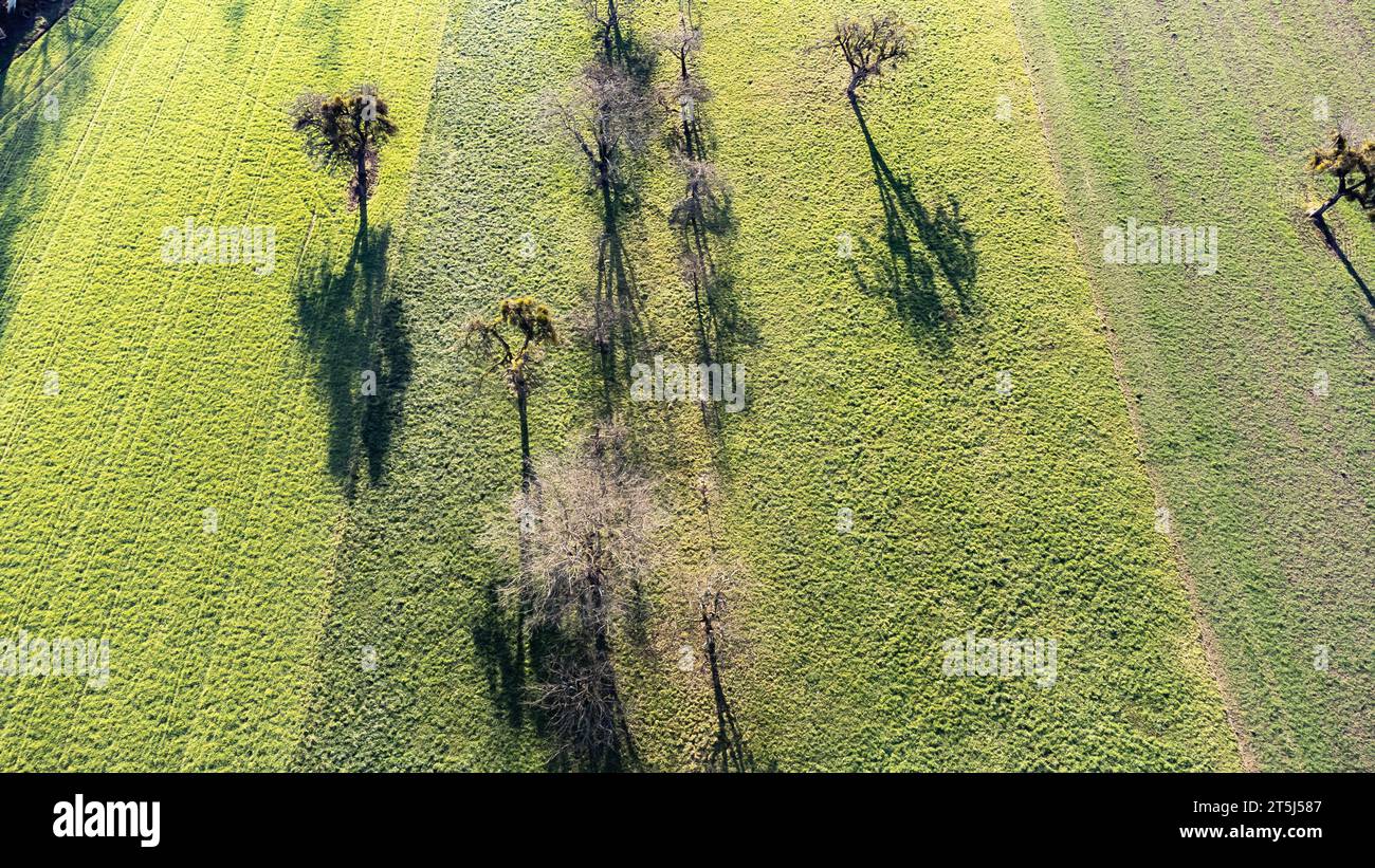 Orchard aerial view hi-res stock photography and images - Alamy