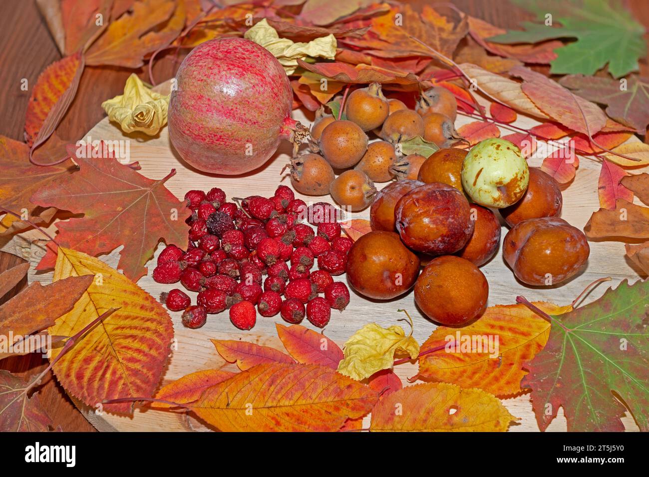 Fresh ripe organic medlar fruit, rose hips and pomegranate on wood and among autumn leaves. Stock Photo