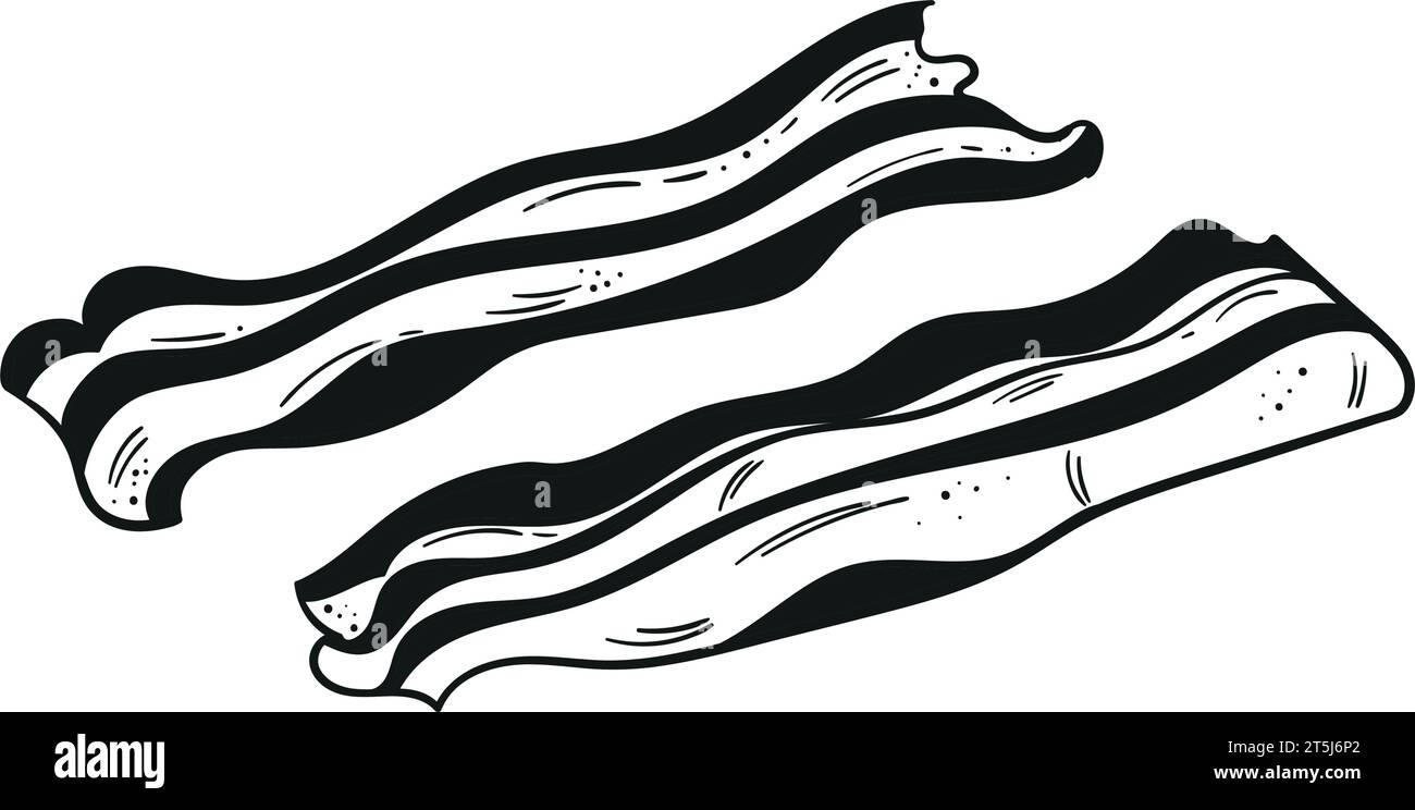 Hand drawn or sketch of bacon on a white background. Bacon illustration