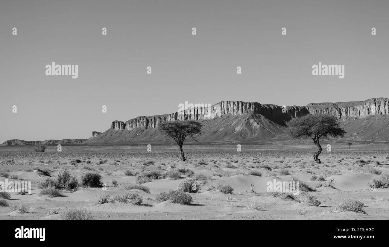 Desert landscapes in the Sahara Stock Photo - Alamy