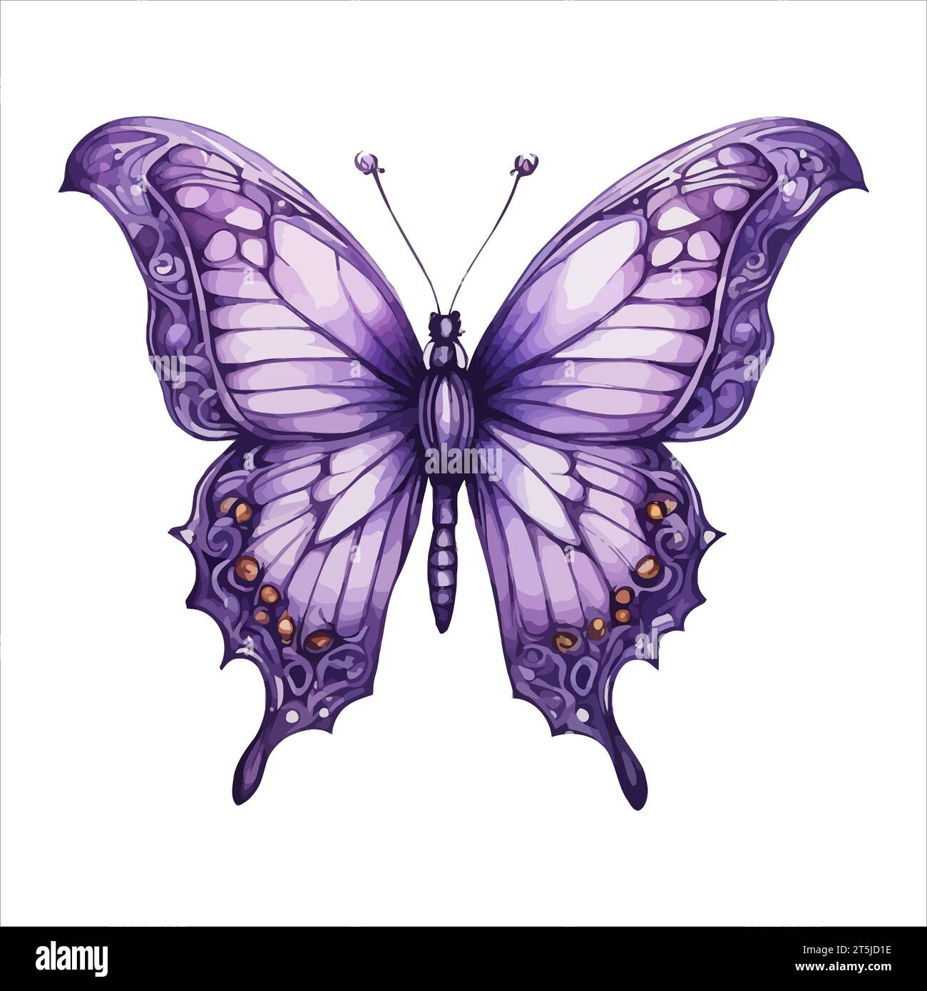 Violet butterflies watercolor illustration isolated on white background ...