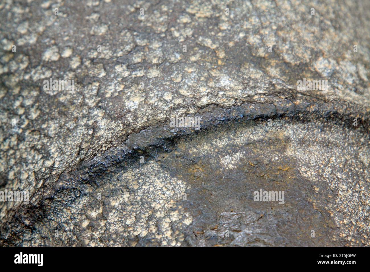 Metal oxide hi-res stock photography and images - Alamy