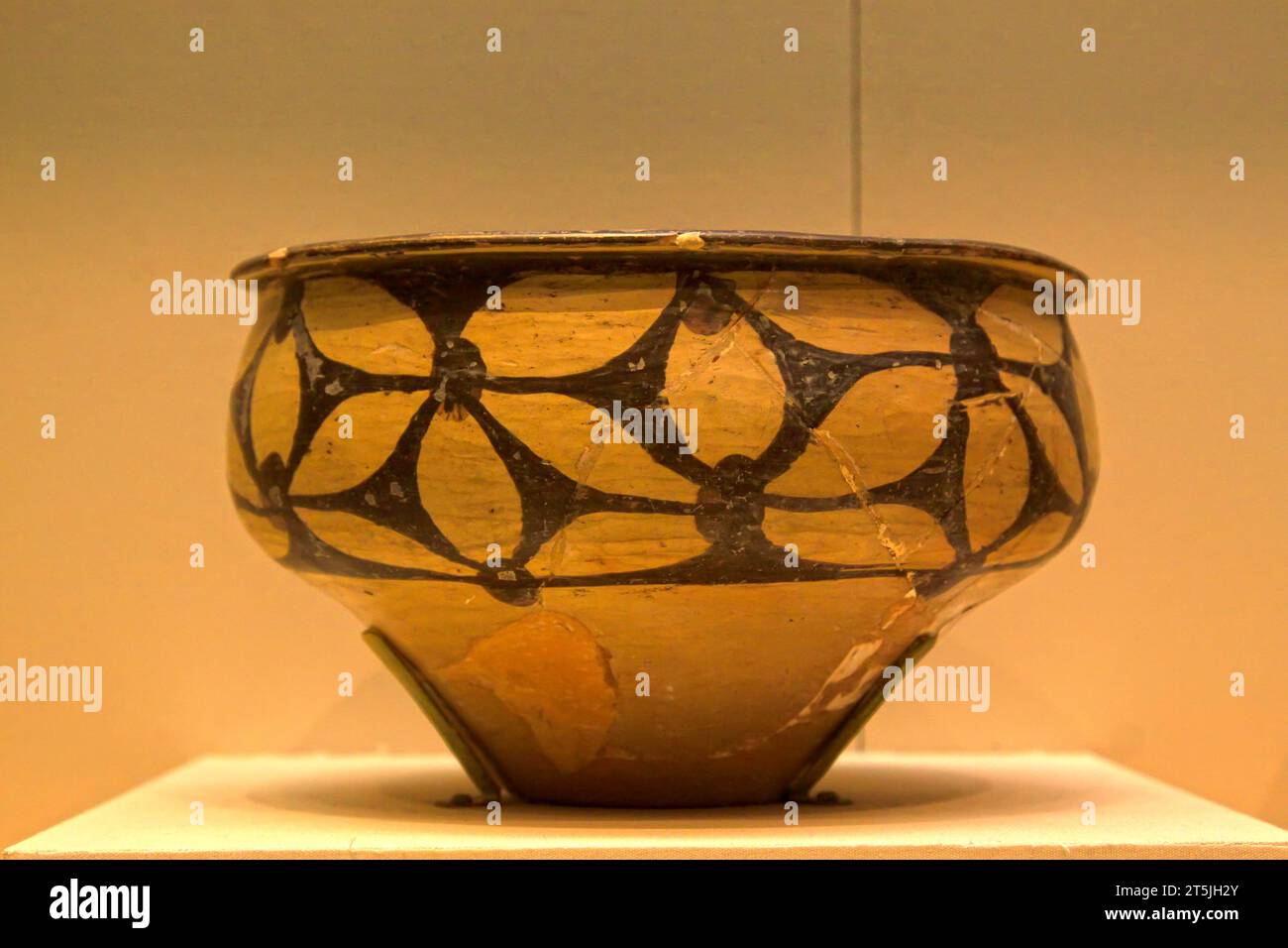 CHINA ANCIENT China's exhibition hall painted pottery basin