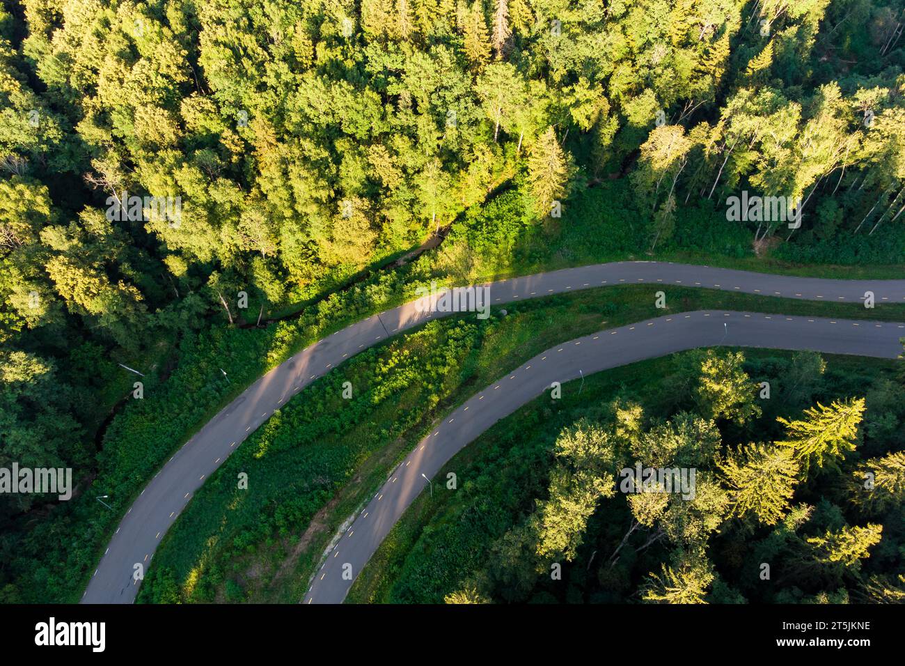 Asphalt road running through a forested area, aerial view. Roller ski track for training Stock Photo