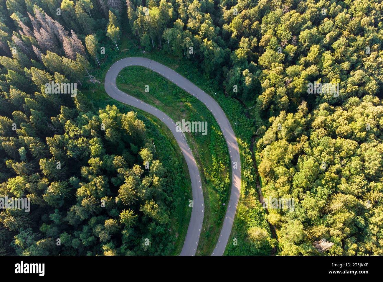 Aerial view of a loop of a roller ski track in the forest. Asphalt road in the wilderness from above Stock Photo