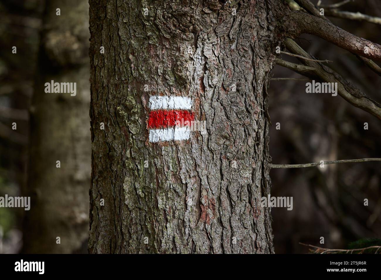 Hiking trail signs Stock Photo - Alamy