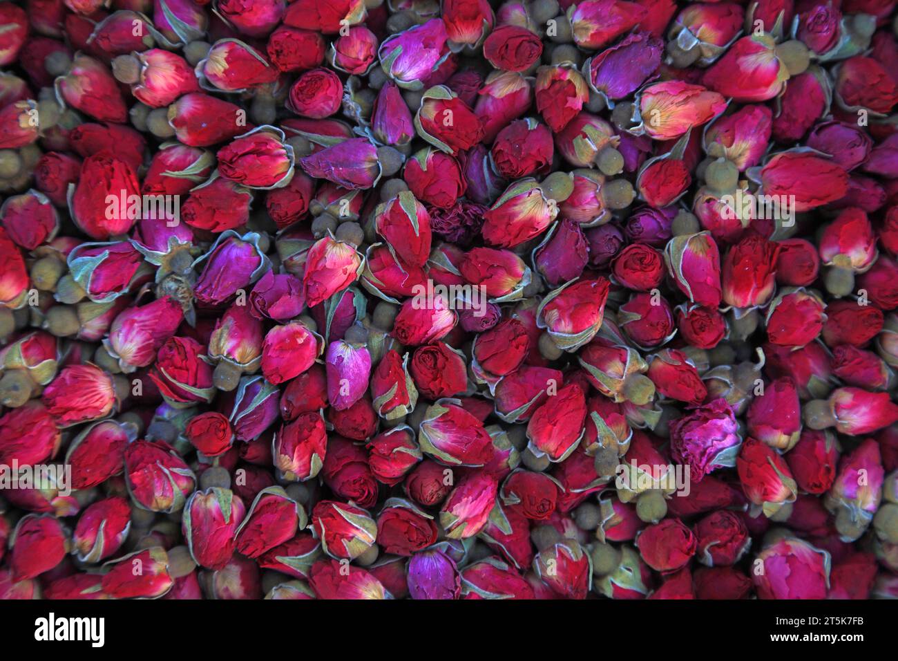 Chinese traditional medicinal rose Stock Photo - Alamy