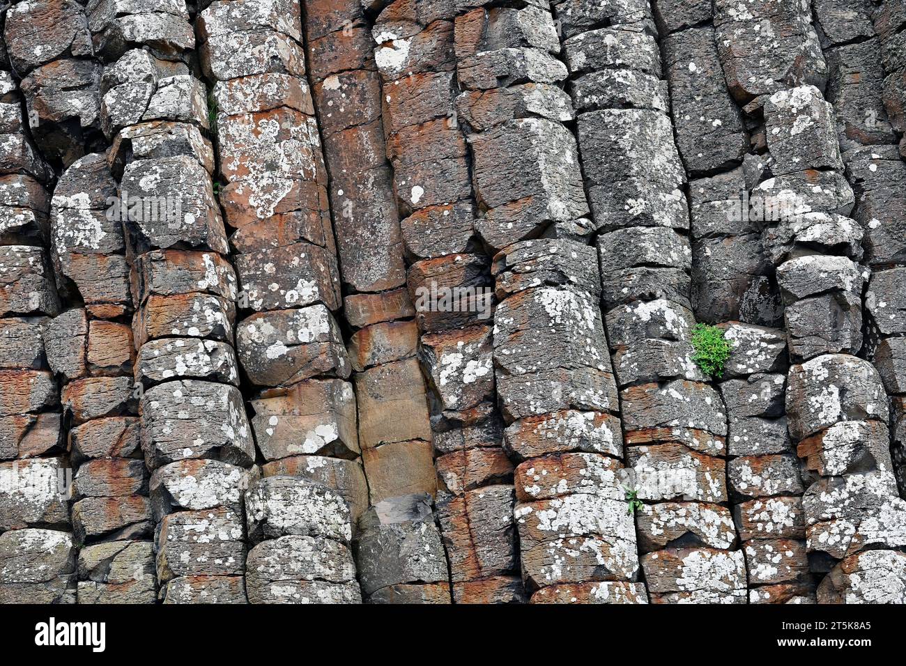 close up of the rock formation at the Giants Causeway Northern Ireland Stock Photo
