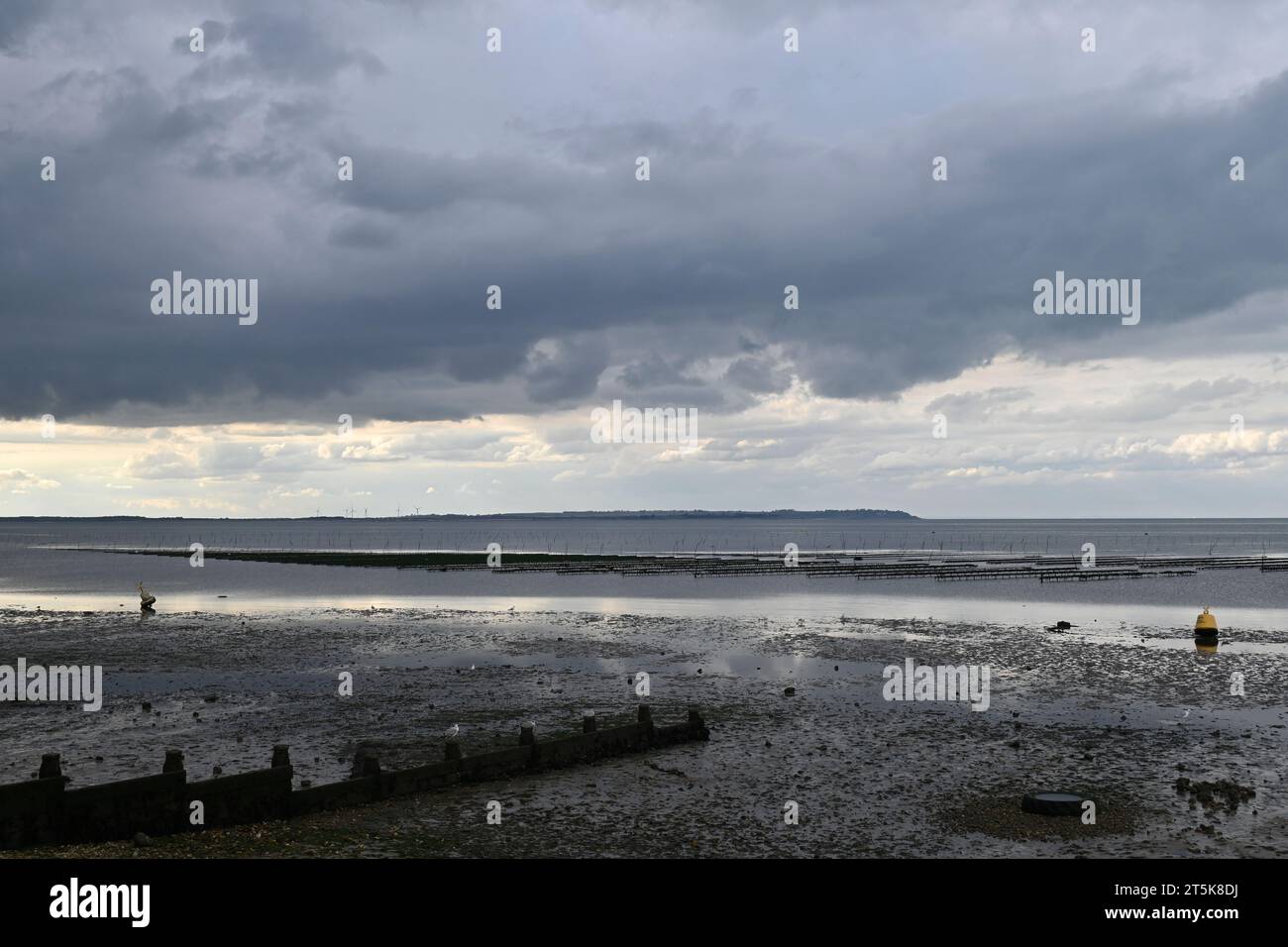 A view of the Oyster beds at Whitstable beach at low tide Stock Photo
