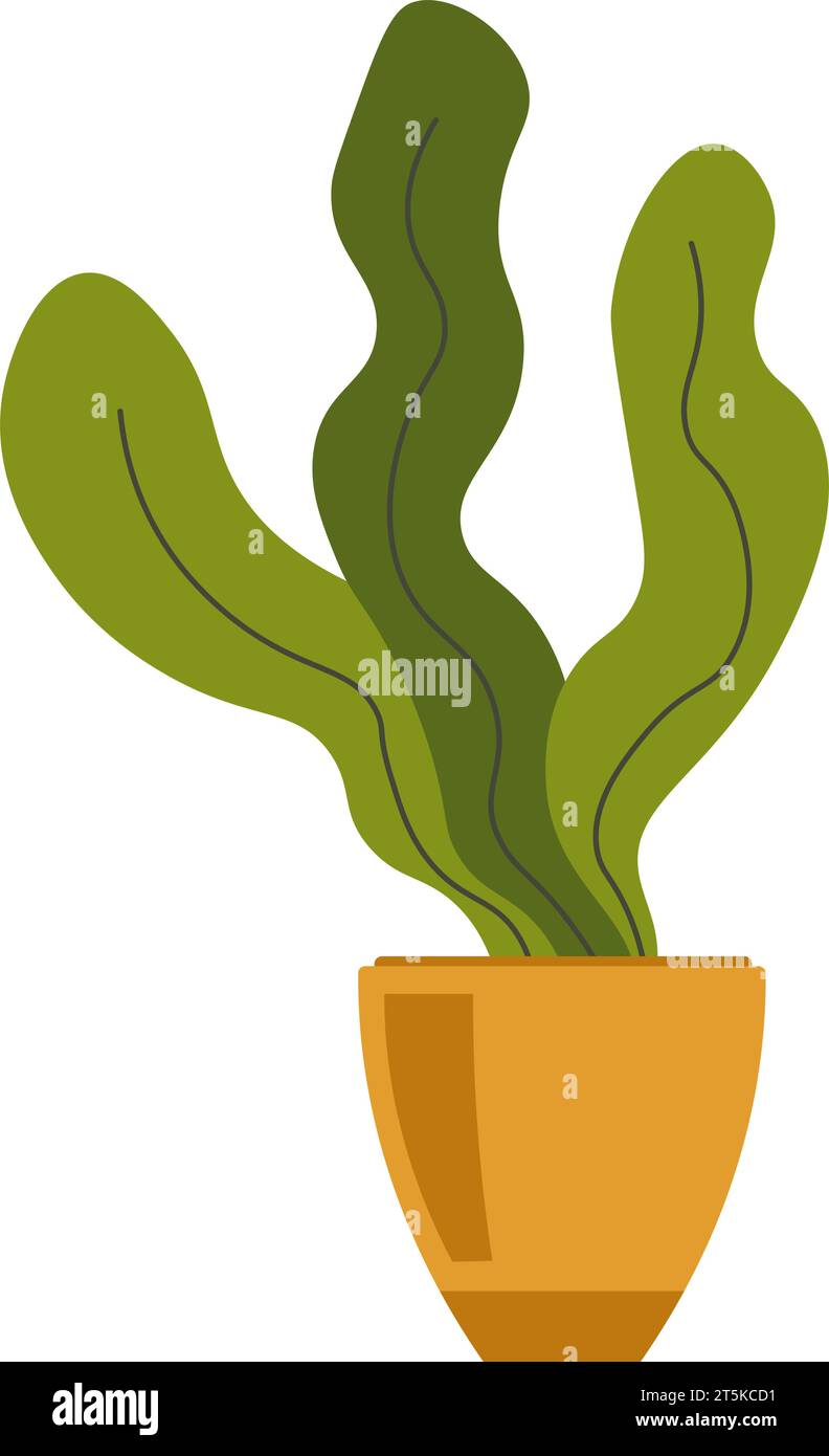 House plant with leaves in pot, home decoration Stock Vector