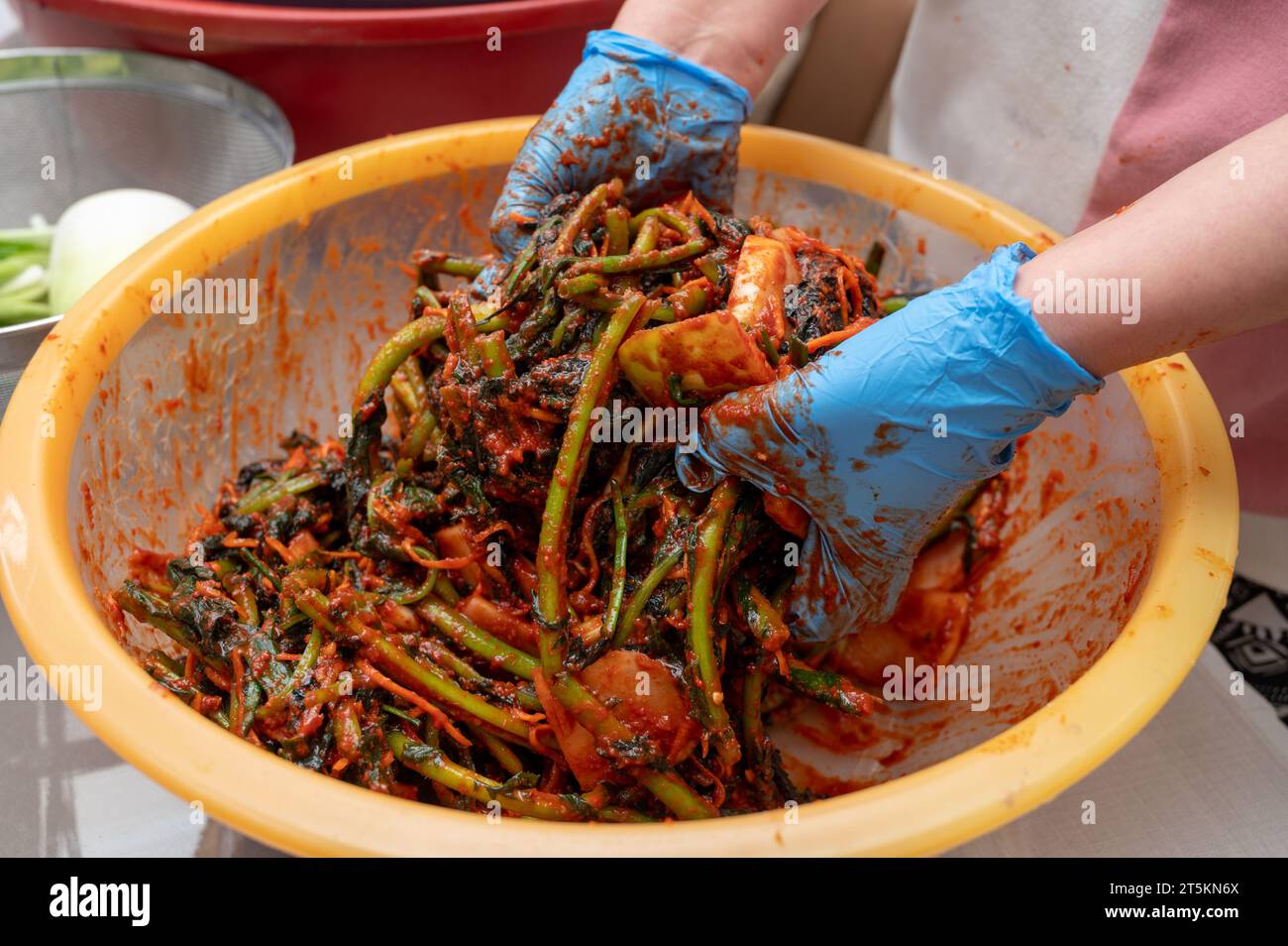 The process of making a traditional Korean dish, kimchi. A woman wearing gloves is preparing various ingredients needed for the kimchi. Stock Photo
