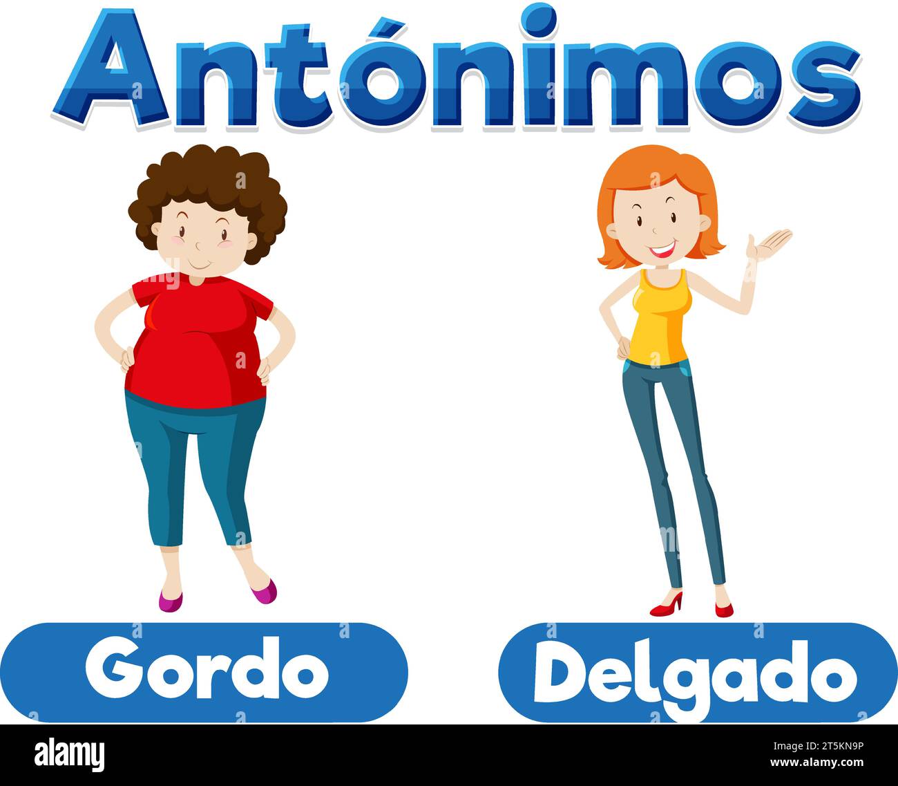 Illustrated picture word card teaching fat and slim in Spanish Stock