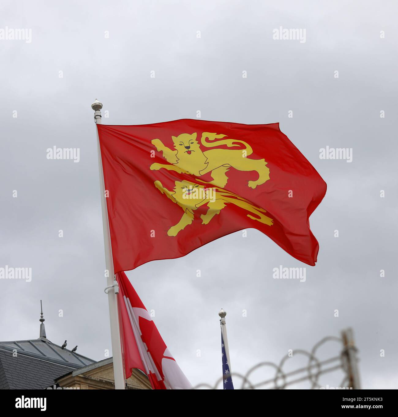 Red and Yellow Flag and coat of arms of Normandy with lions Stock Photo Alamy