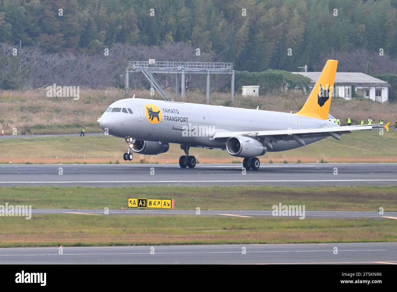Yamato Transport A321P2F JA81YA ウーブル Yamato Transport A321P2F JA81YA ウーブル