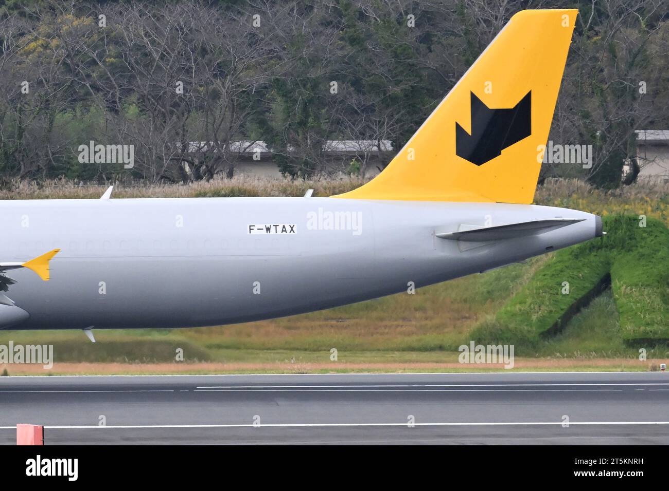 The first Yamato Holdings Airbus A321ceo P2F freighter (FWTAX