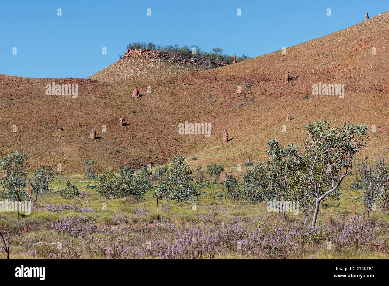Scenery along the Tanami Road, Kimberley Region, Western Australia, Australia Stock Photo