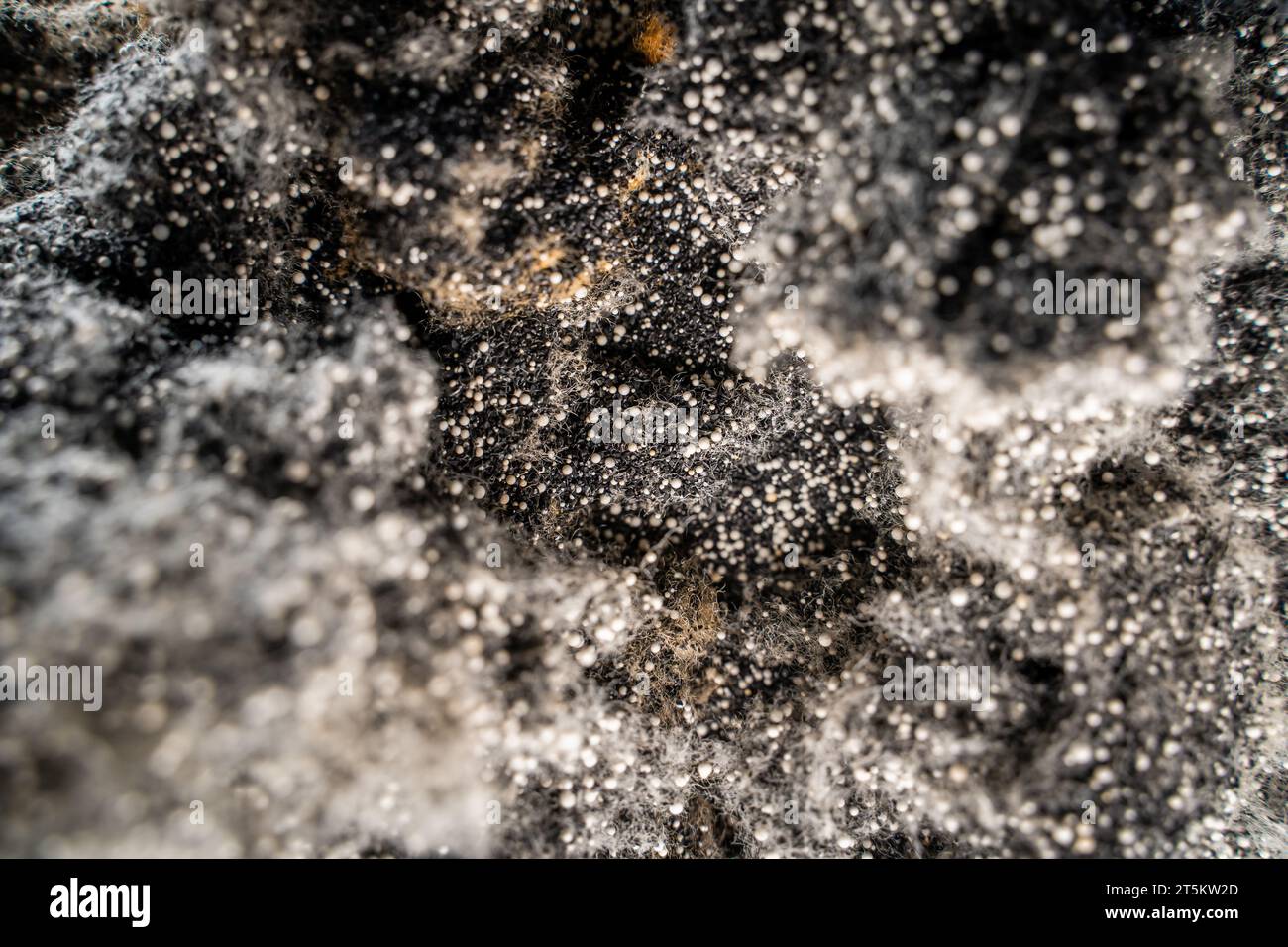 Ion exchange resins hi-res stock photography and images - Alamy