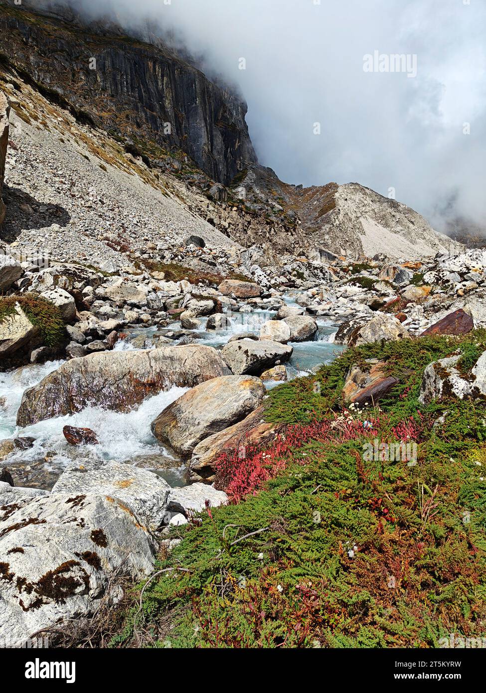 Beautiful mountain river in Himalayas. Nepal. Top view Stock Photo - Alamy