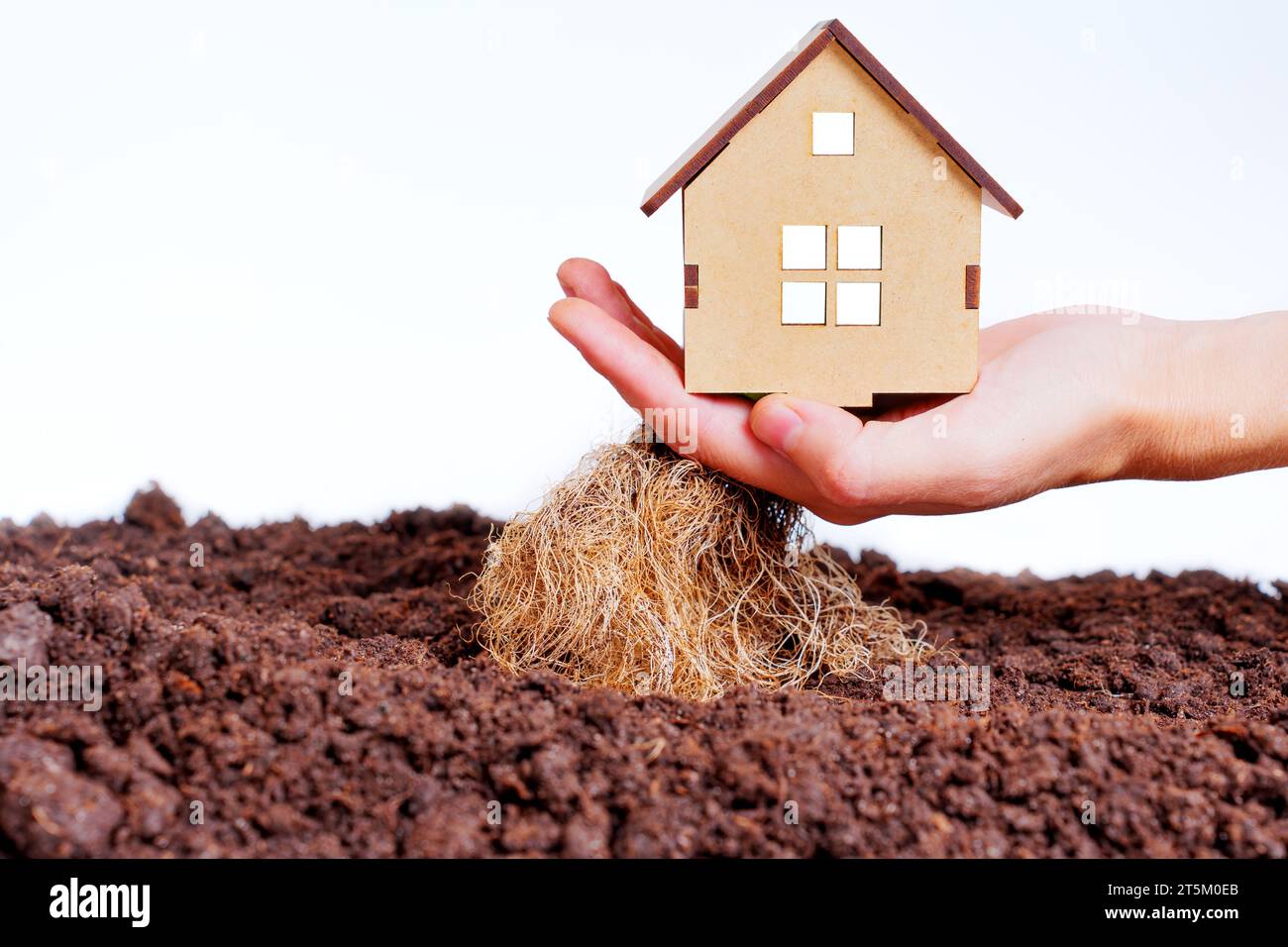 Hand gently lifts a tiny wooden house model with plant roots from the soil, symbolizing the start of a new home and fresh beginnings. Stock Photo