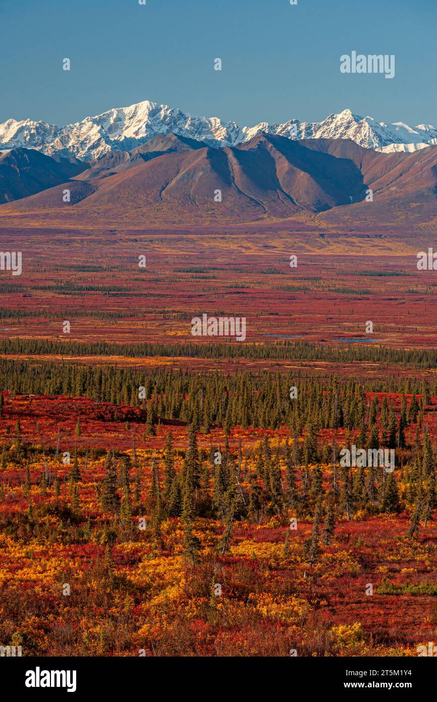 Alaska Range in fall, Denali Highway, Alaska, USA Stock Photo - Alamy