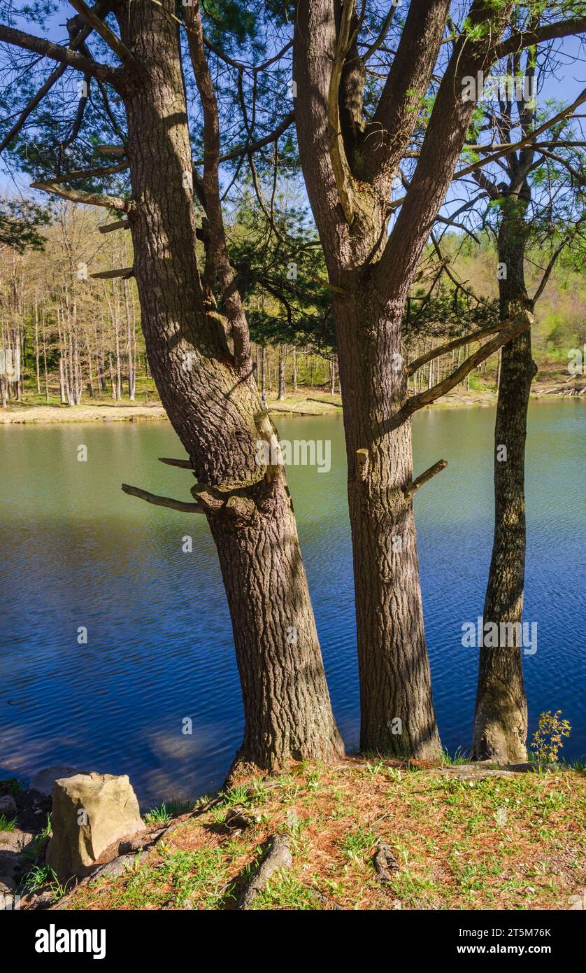 Quaker Lake Area at Allegany State Park in New York State Allegany