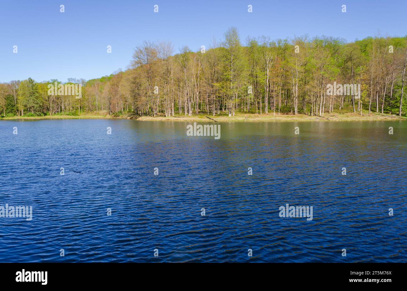 Quaker Lake Area at Allegany State Park in New York State Allegany
