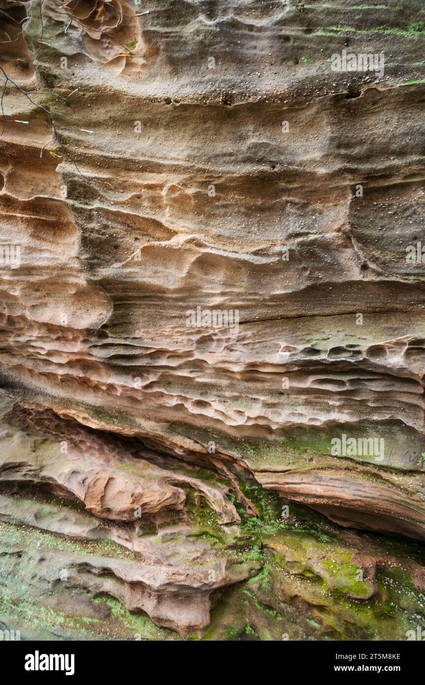 Thunder Rocks Area of Allegany State Park in New York State Stock Photo ...