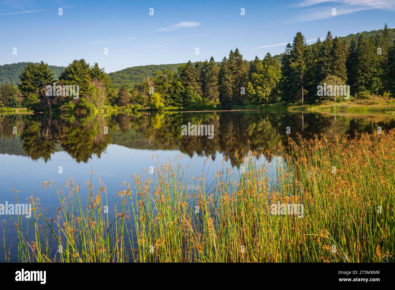 Quaker Lake Area at Allegany State Park in New York State Allegany