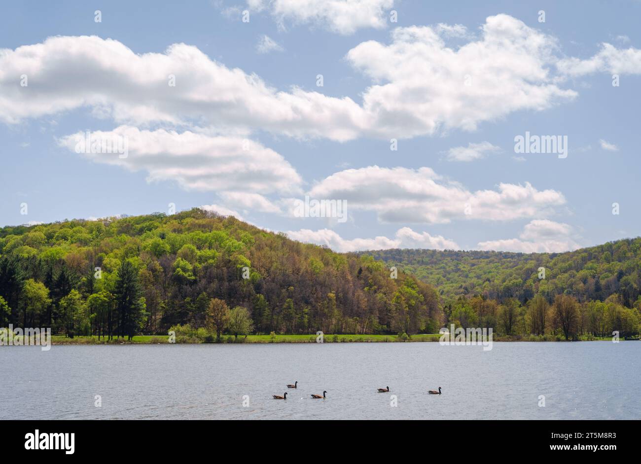 Quaker Lake Area at Allegany State Park in New York State Allegany