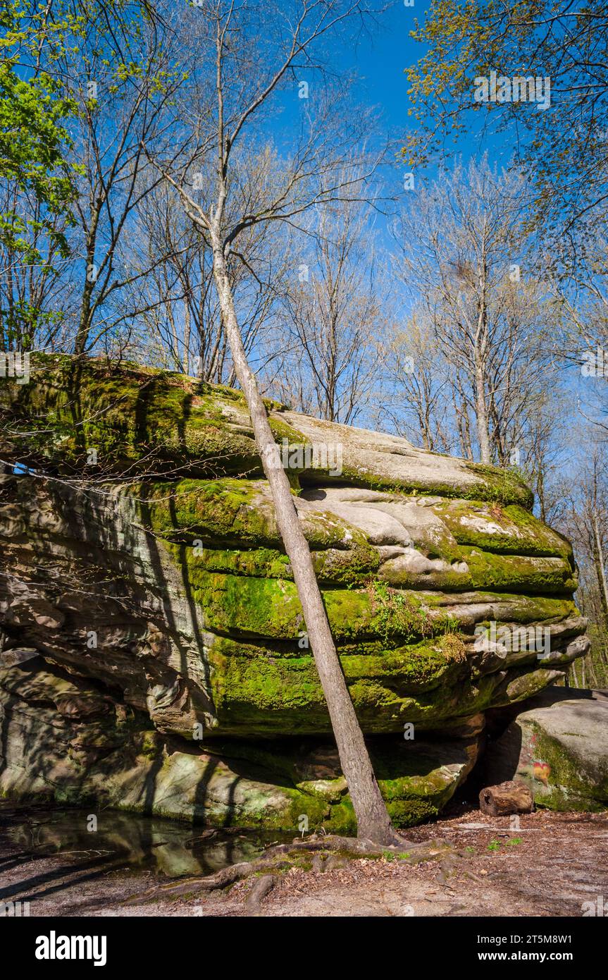 Thunder Rocks Area of Allegany State Park in New York State Stock Photo ...