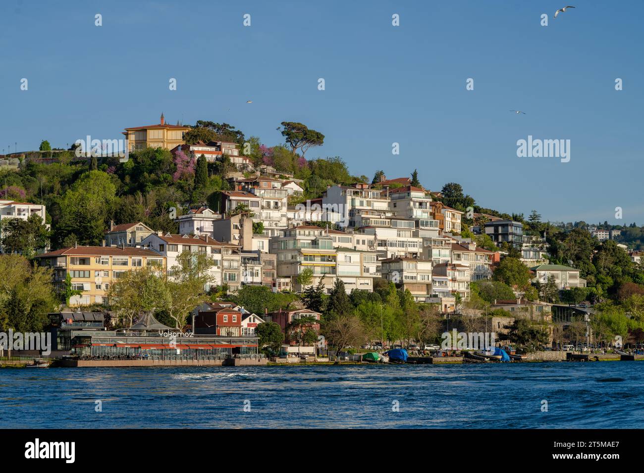 Views of Tunis Stock Photo