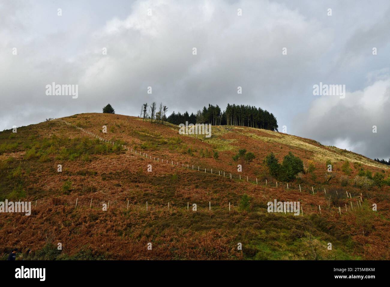 One of the hills looking down on the Pool at Cwm Clydach, now a maintained Nature Reserve with a carpark as well as a 'round the pond' footpath walk Stock Photo