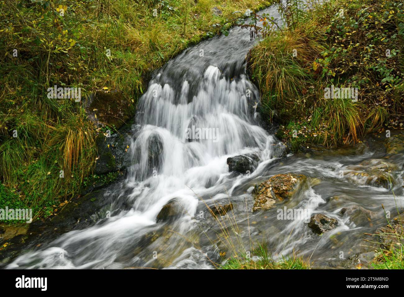 A stream leading down to the Clydach Vale pond at the top of the Clydach Valley off Rhondda keeping the pond topped up . This is in South Wales. Stock Photo