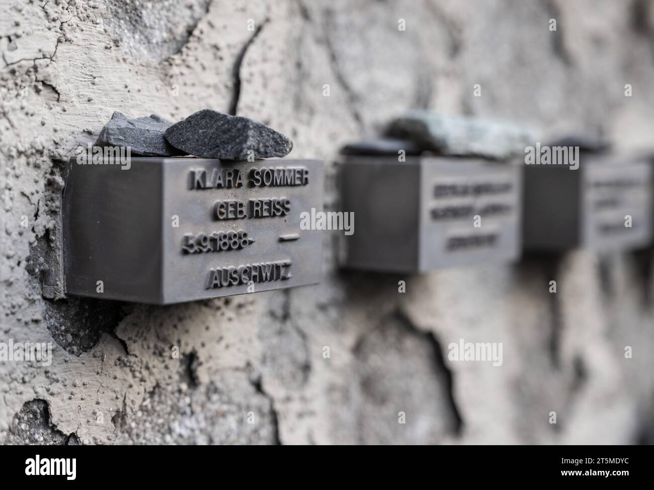 Proseminic 06 November 2023, Hesse, Frankfurt/Main: Small nameplates at a memorial ...