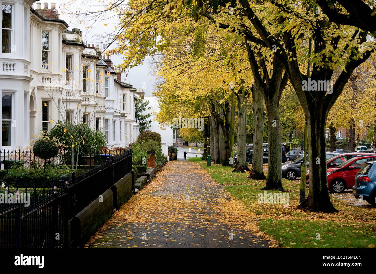Autumn colour in Binswood Avenue, Leamington Spa, Warwickshire, England