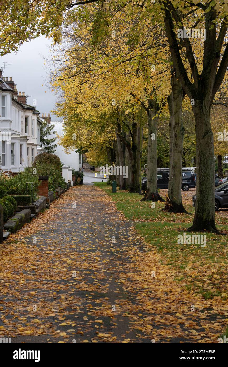 Autumn colour in Binswood Avenue, Leamington Spa, Warwickshire, England