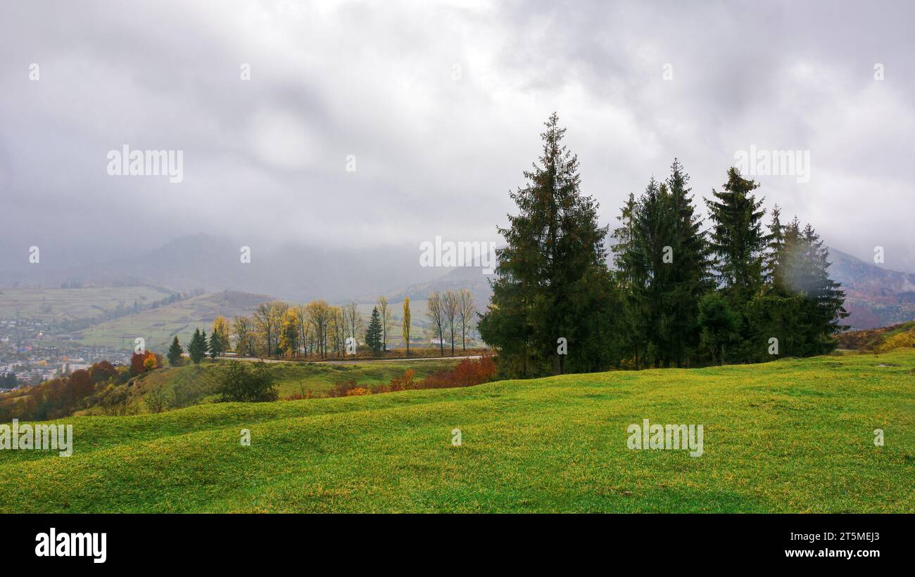 mountainous countryside landscape in autumn. spruce trees on the grassy meadow. village in the distant valley. rainy weather with overcast sky above t Stock Photo