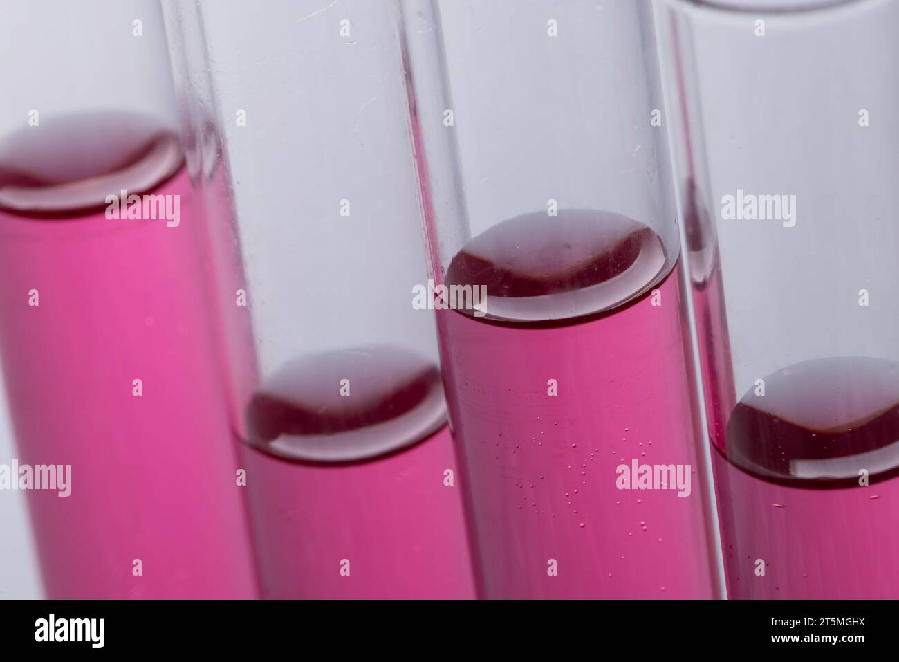 Close up of laboratory test tubes with pink liquid and copy space on ...
