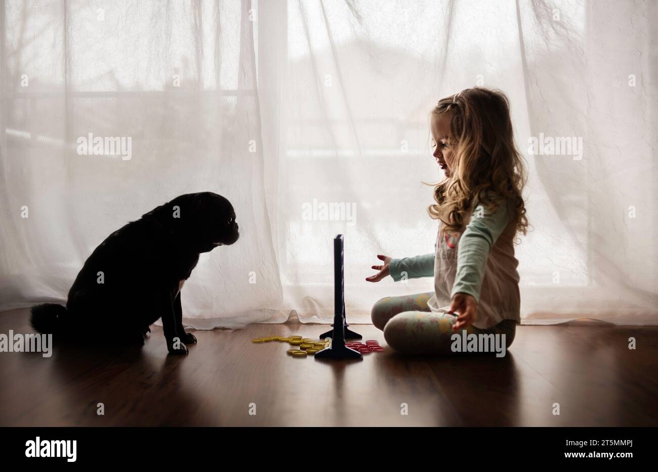 Little girl playing board game with black pug dog Stock Photo
