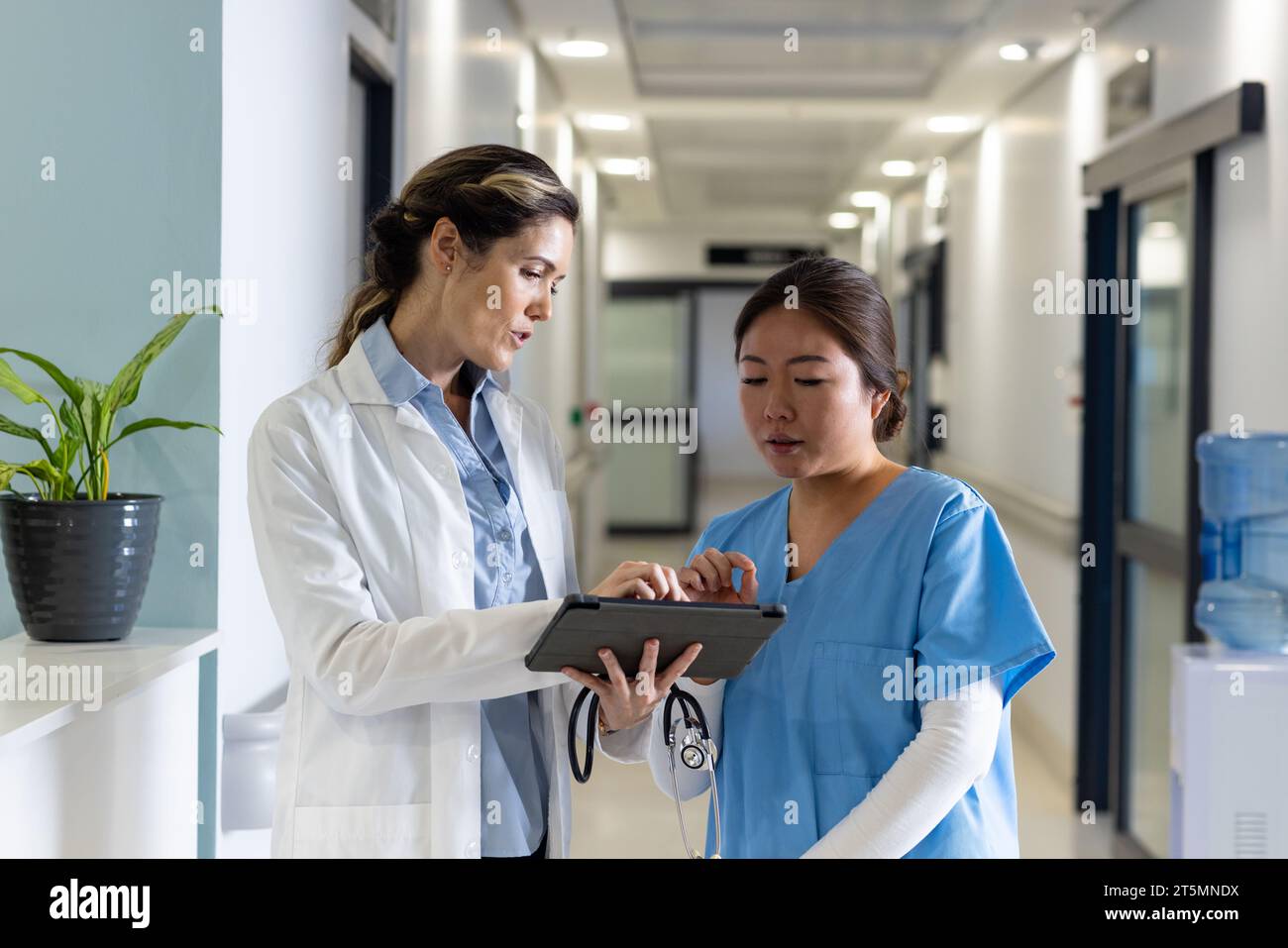Busy diverse female doctors using tablet and discussing in hospital corridor Stock Photo