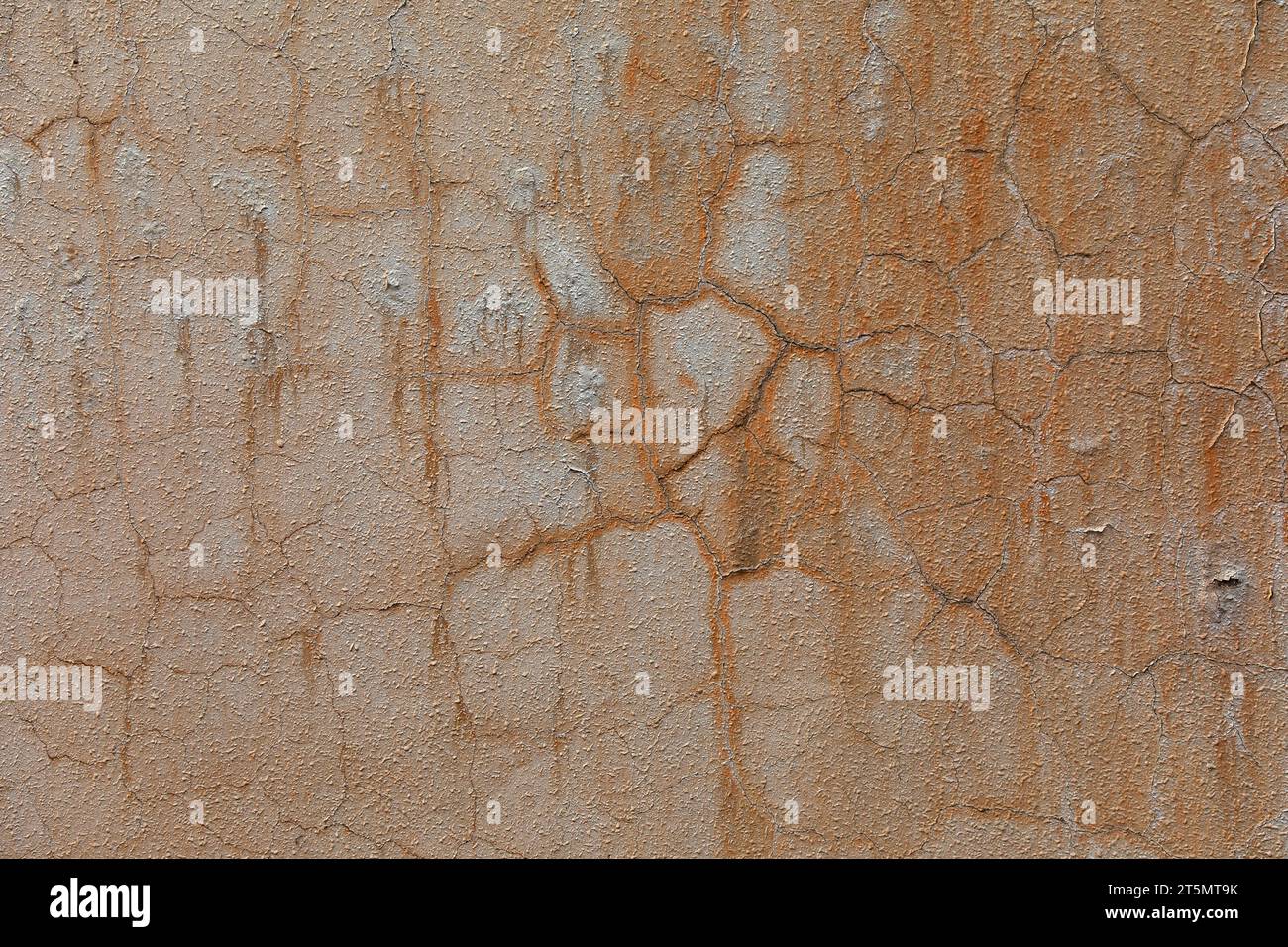 Aged mottled walls, closeup of photo Stock Photo - Alamy