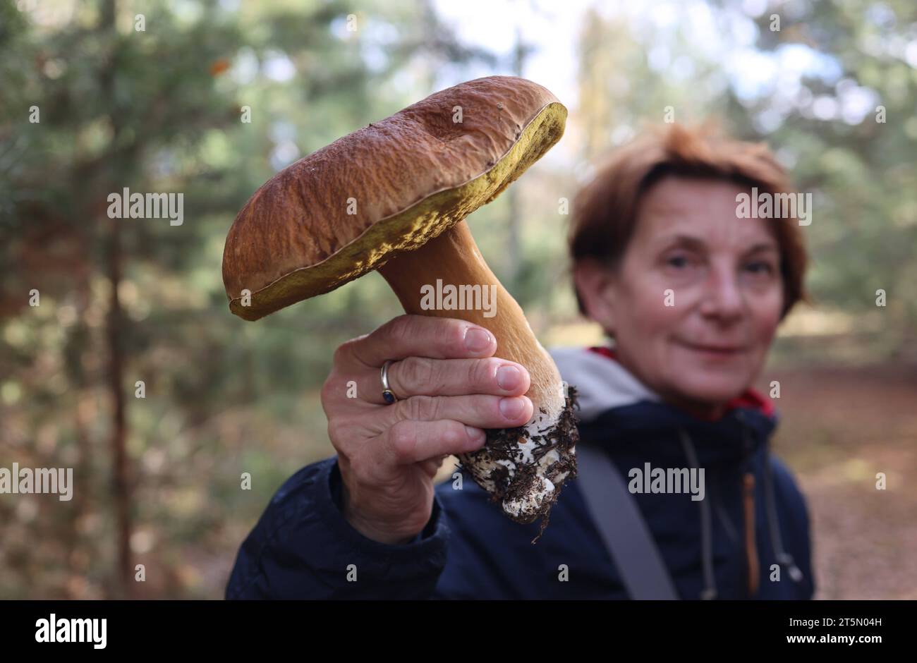 04.11.2023 / Sachsen Anhalt Sachsen-Anhalt Bitterfeld Goitzsche ...