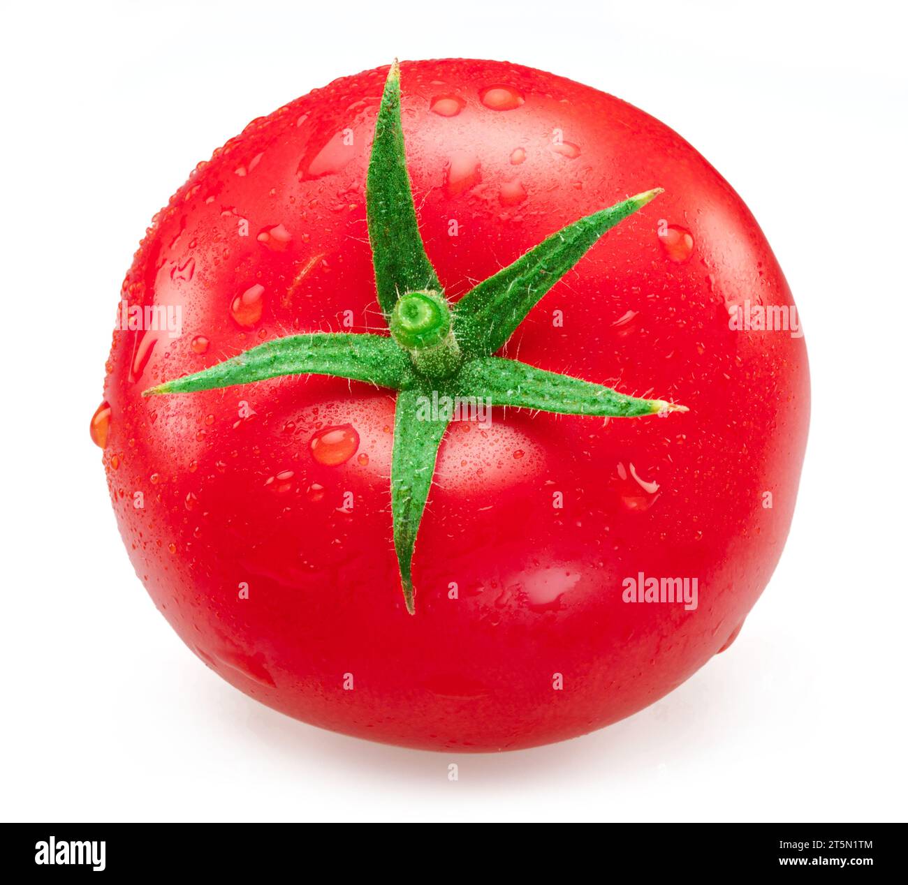 Freshly washed red tomato covered with water drops on white background ...