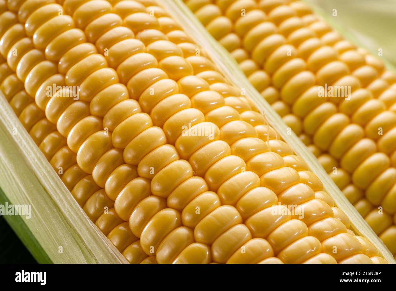 Ripe corn heads with corn whiskers and leaves. Nice vegetable cooking