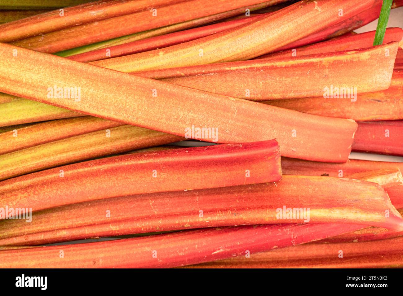 Red rhubarb stemson the farm market stall. Food background. Stock Photo