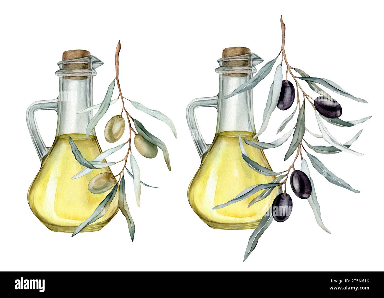 Olive oil in glass bottle. Hand drawn illustration isolated background